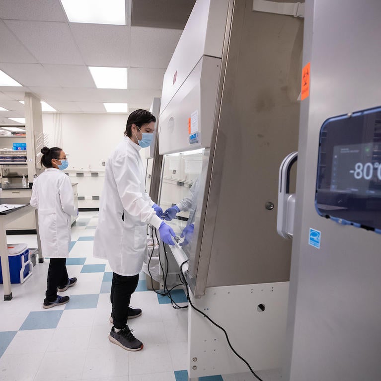 Community college transfer students accepted to UCR can now apply for a summer research internship and receive a $5,000 stipend. (UCR/Stan Lim)